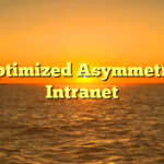 Optimized Asymmetric Intranet