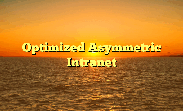 Optimized Asymmetric Intranet